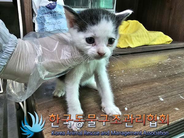 한국동물구조관리협회_441560202300648